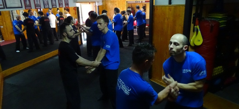 Kung Fu Caserta Wing Chun Academy Wing Tsun e Wing Tjun a Caserta, Frosinone, Avezzano, Latina, San Severo, Italia Sifu Salvatore Mezzone (2)